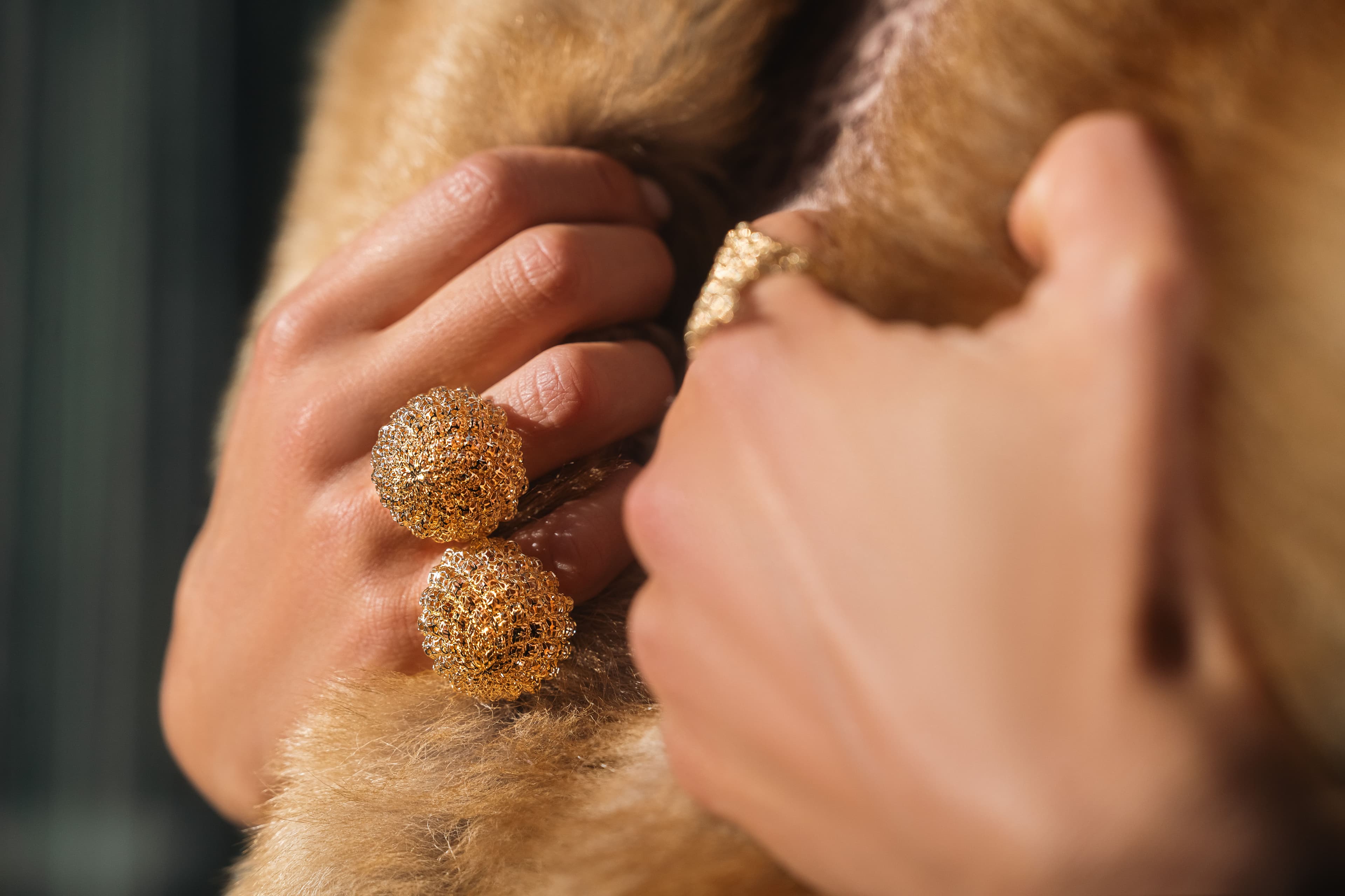 Ana Rocha & Apolinário - 5